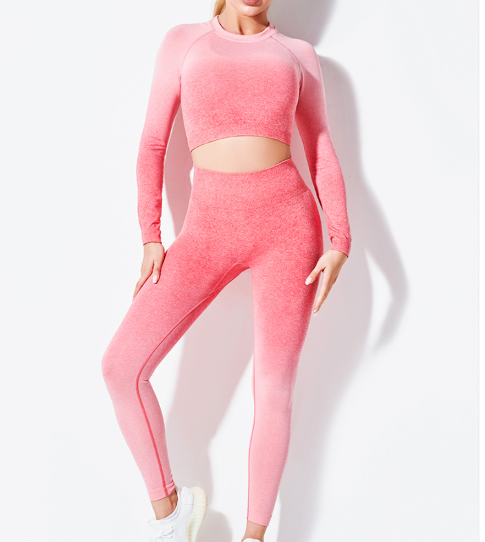 Yoga Wear Long Sleeve Suit Women Seamless Gradient Fitness Wear - Hickstreetcorp