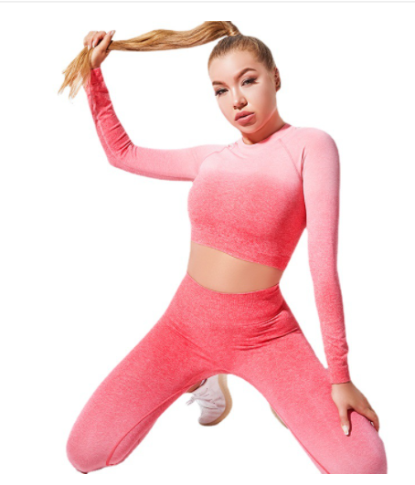 Yoga Wear Long Sleeve Suit Women Seamless Gradient Fitness Wear - Hickstreetcorp